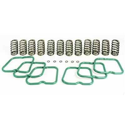 Pacbrake HP10240 Basic Kit 12 Heavy Duty Valve Springs for 1994-1998 Dodge 5.9L Cummins