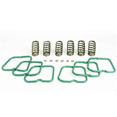 Pacbrake HP10241 Basic Kit 6 Heavy Duty Valve Springs for 1994-1998 Dodge 5.9L Cummins