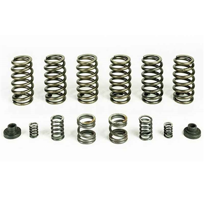 Pacbrake HP10246 Spring Kit 6 Heavy Duty Valve Springs for 1994-1998 Dodge 5.9L Cummins