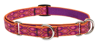 Lupine 3/4" Alpen Glow 14-20" Martingale Training Collar