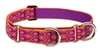 Lupine 1" Alpen Glow 15-22" Martingale Training Collar