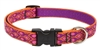 Lupine 3/4" Alpen Glow 15-25" Adjustable Collar