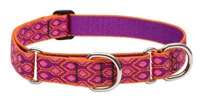 Lupine 1" Alpen Glow 19-27" Martingale Training Collar