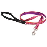 Lupine 1/2" Alpen Glow Padded Handle Leash