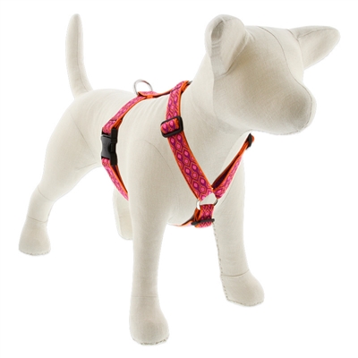 Lupine 1" Alpen Glow Roman Harness