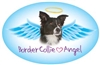 Border Collie Angel Oval Magnet - A43