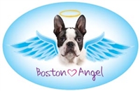 Boston Angel Oval Magnet - A44