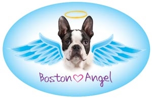 Boston Angel Oval Magnet - A44