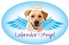Labrador (Yellow) Angel Oval Magnet - A49