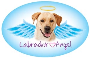 Labrador (Yellow) Angel Oval Magnet - A49