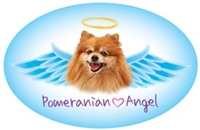 Pomeranian Angel Oval Magnet - A51