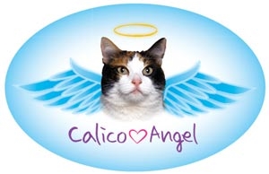 Calico Angel Oval Magnet - A72