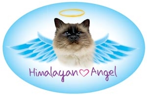 Himalayan Angel Oval Magnet - A73