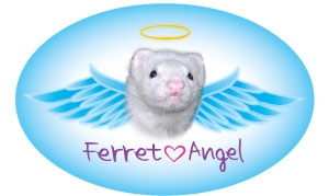 Ferret Angel (White) Oval Magnet - A89