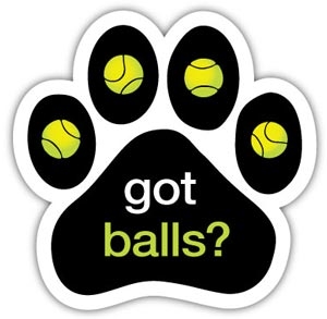 Got Balls? - PMB12