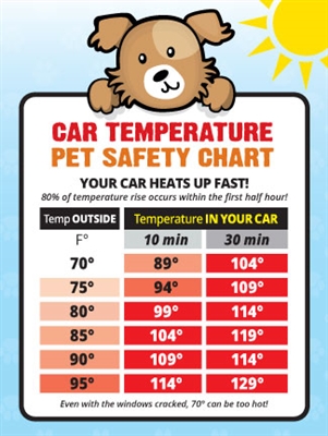 Car Temperature Safety Guide Sticker - Made in the USA