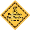 Dalmatian Taxi Service Magnet 6" - YPT11-6