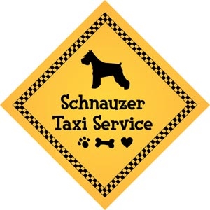 Schnauzer Taxi Service Magnet 9" - YPT28-9