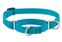 Lupine 3/4" Aqua 10-14" Martingale Training Collar