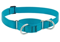 Lupine 1" Aqua 19-27" Martingale Training Collar