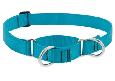 Lupine 1" Aqua 19-27" Martingale Training Collar