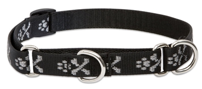 Lupine 3/4" Bling Bonz 14-20" Martingale Training Collar