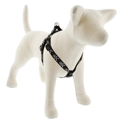 Lupine 3/4" Bling Bonz 15-21" Step-in Harness