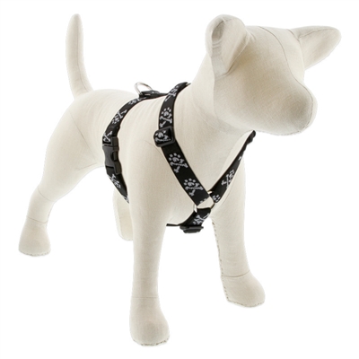 Lupine 1" Bling Bonz 20-32" Roman Harness