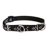 Lupine 3/4" Bling Bonz Martingale Training Collar