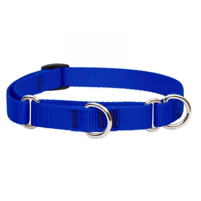 Lupine 1" Blue 19-27" Martingale Training Collar