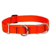 Lupine 1" Blaze Orange 15-22" Martingale Training Collar