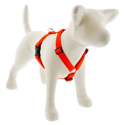 Lupine 1" Blaze Orange 24-38" Roman Harness