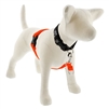 Lupine 1" Blaze Orange 26-38" No-Pull Harness