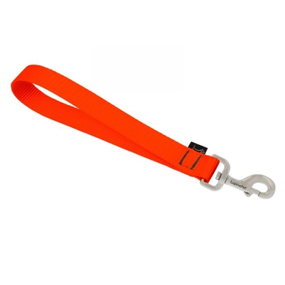 Lupine 1" Blaze Orange Training Tab