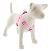 Lupine 1" Pink 19-28" Step-in Harness