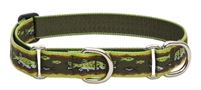 Lupine 1" Brook Trout 15-22" Martingale Training Collar