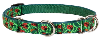 Retired Lupine 3/4" Beetlemania 10-14" Martingale Training Collar