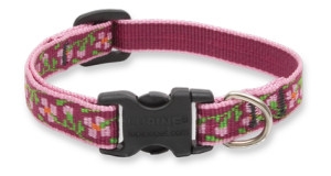 Retired Lupine 1/2" Cherry Blossom 6-9" Adjustable Collar