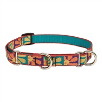 Lupine 3/4" Crazy Daisy 14-20" Martingale Training Collar