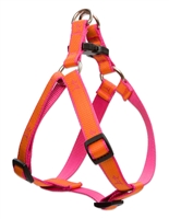 Retired Lupine Club 3/4" Sunset Orange 15-21" Step-in Harness