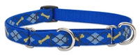 Lupine 3/4" Dapper Dog 14-20" Martingale Training Collar