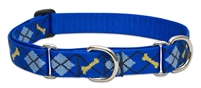 Lupine 1" Dapper Dog 15-22" Martingale Training Collar