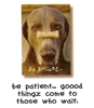 Dog Speak Encouragement #1028