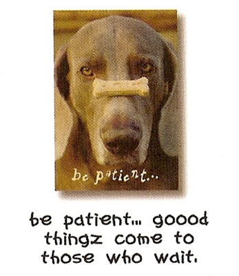 Dog Speak Encouragement #1028