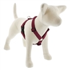 Lupine ECO 1" Berry 20-32" Roman Harness