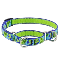 Lupine 3/4" Earth Day 10-14" Martingale Training Collar