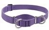 Lupine ECO 1" Lilac 19-27" Martingale Training Collar