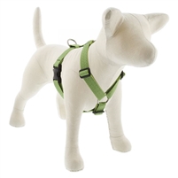 Lupine ECO 1" Moss 20-32" Roman Harness