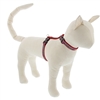 Lupine 1/2" El Paso 9-14" H-Style Cat Harness