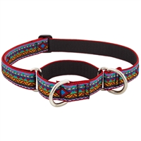 Lupine 1" El Paso Martingale Training Collar